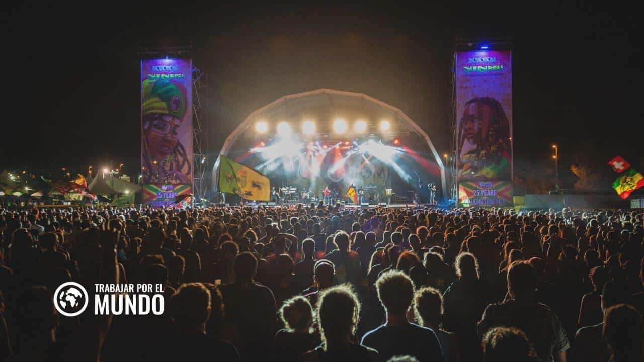 voluntariado en Rototom