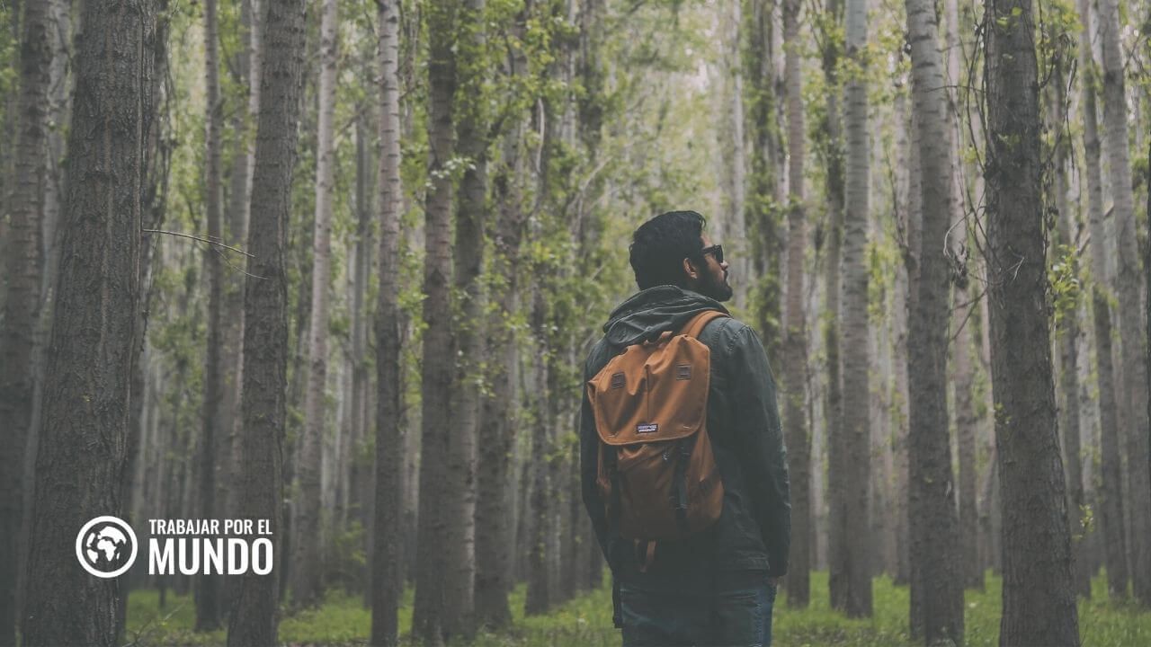 EFE Beca de periodismo para especialización en Información Ambiental