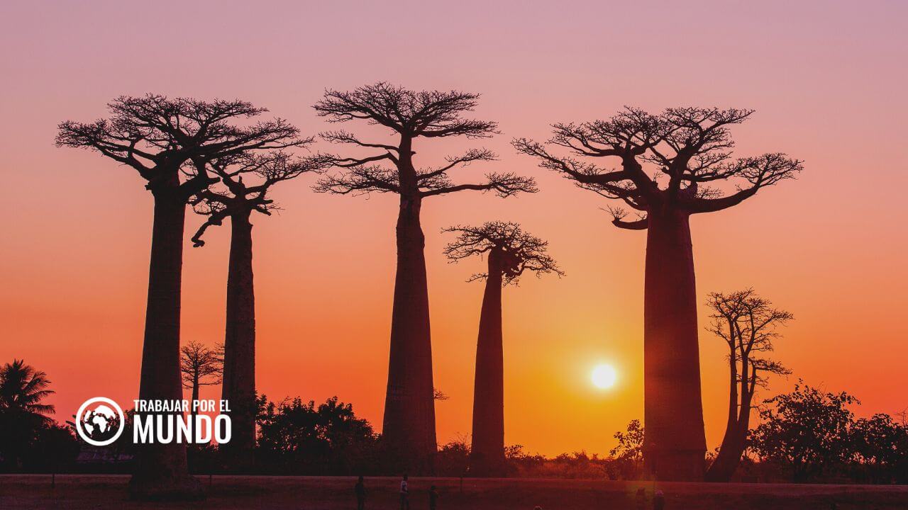 trabajar en Madagascar