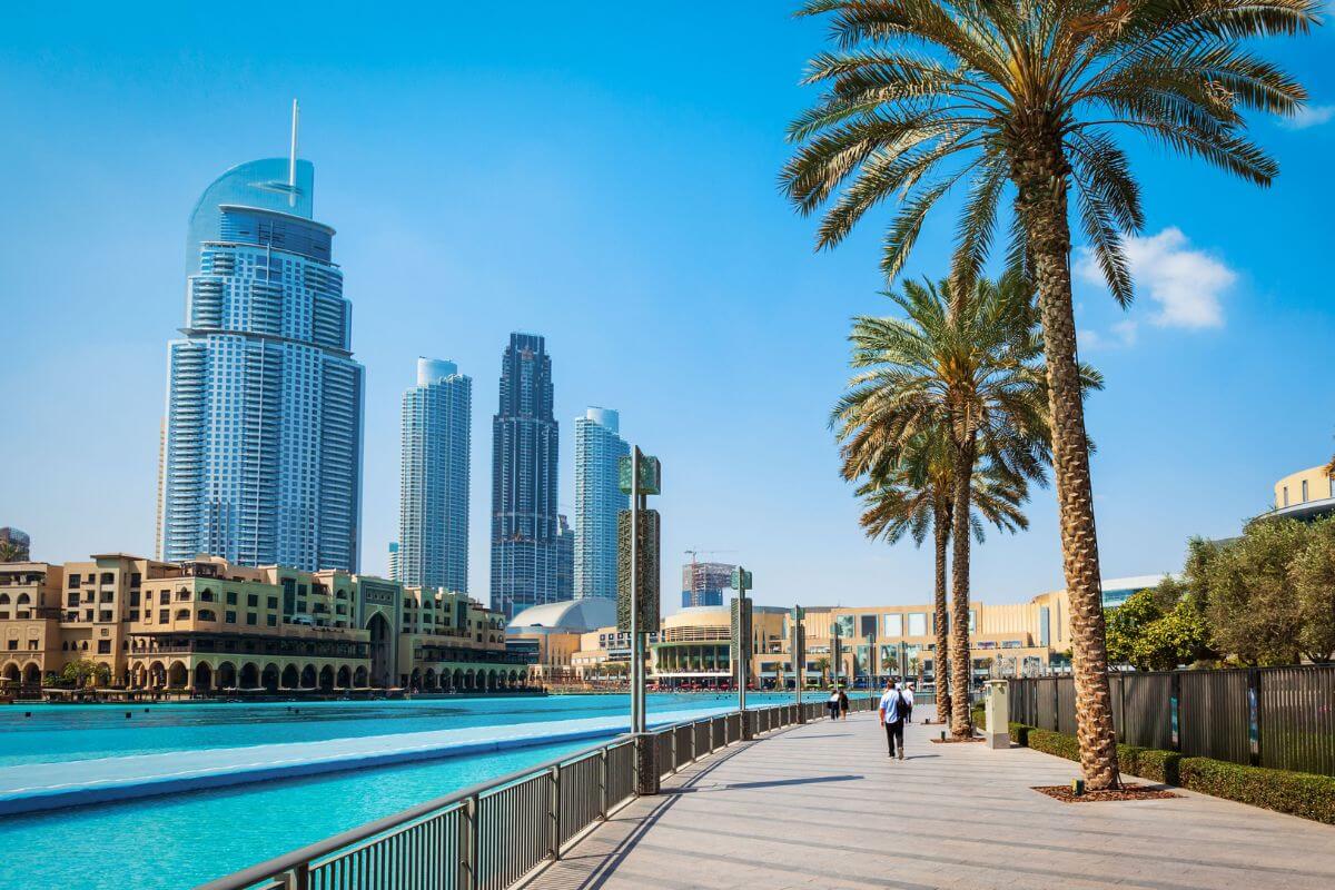 Emiratos Árabes busca profesores