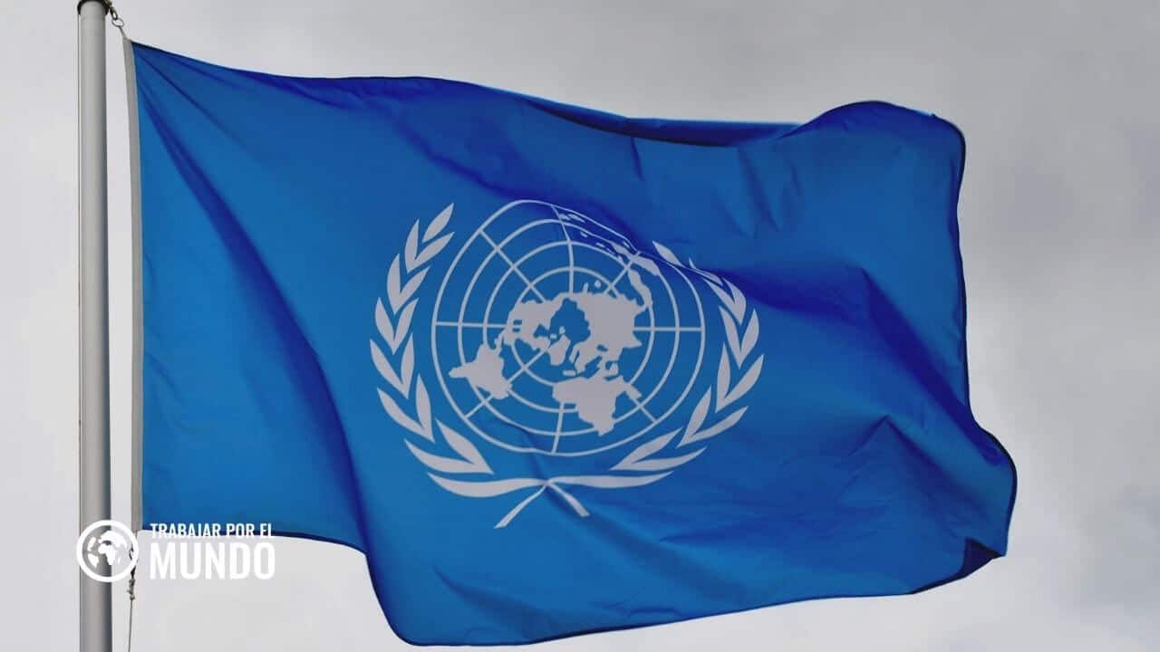 Trabajar en la FAO