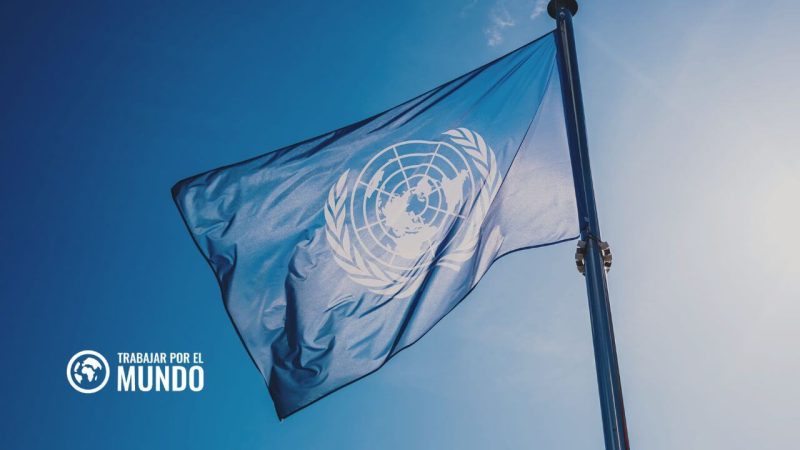 practicas en unicef