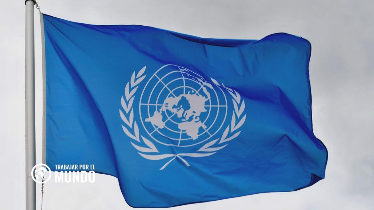 FAO empleo practicas y voluntariado