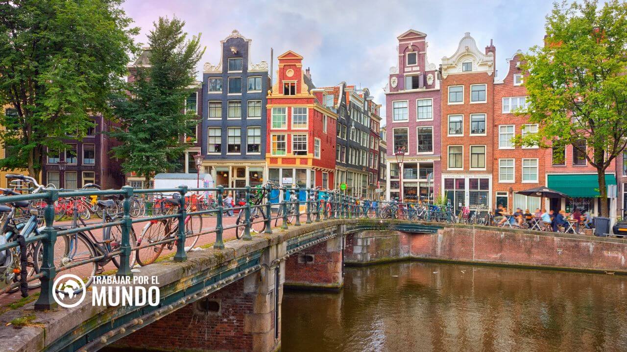 Trabajar en Holanda: Requisitos y Ofertas de Empleo