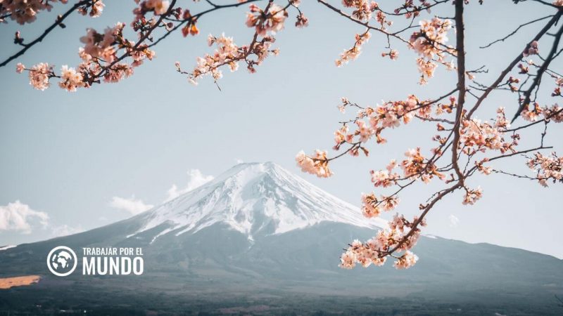 Working Holiday Visa para japón
