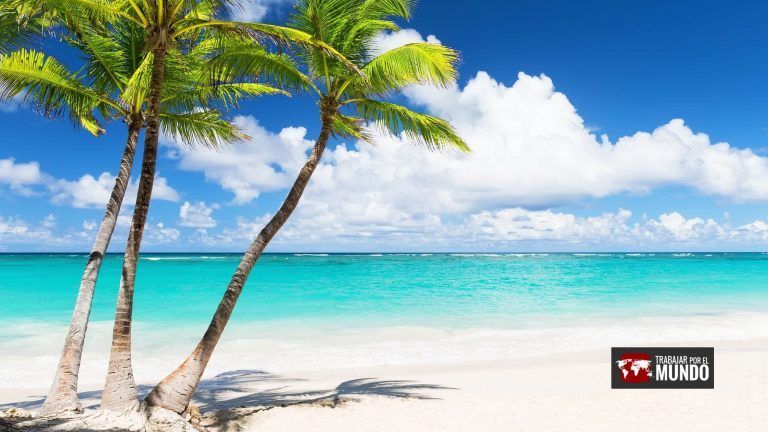 Voluntariados Bahamas con Airbnb
