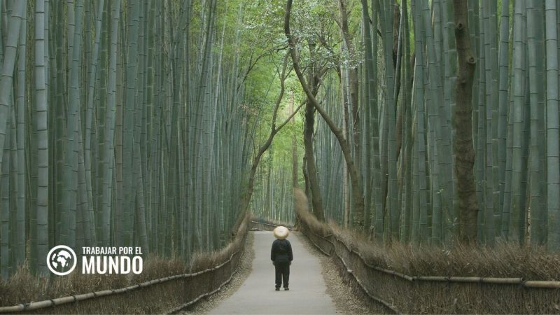 Trabajar como profesor de español en Japon
