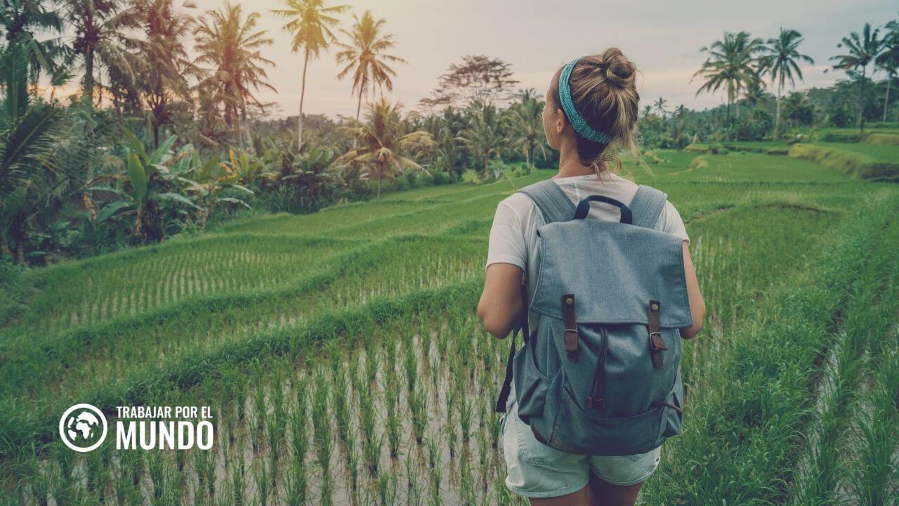 Estudiar en Indonesia