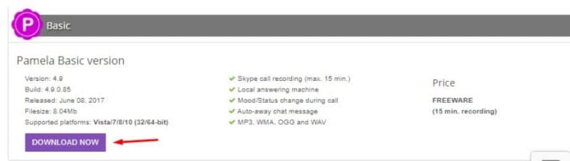 Skype Teletrabajo Pamela