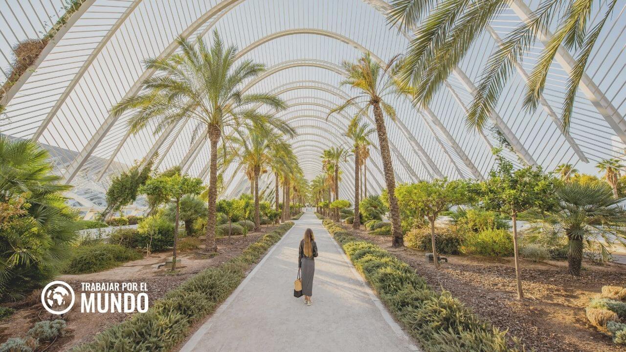LABORA Valencia: Ofertas de empleo
