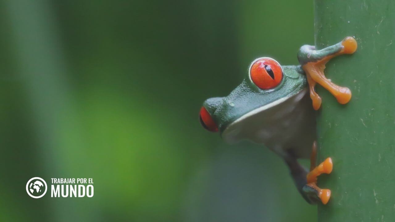 estudiar en Costa Rica