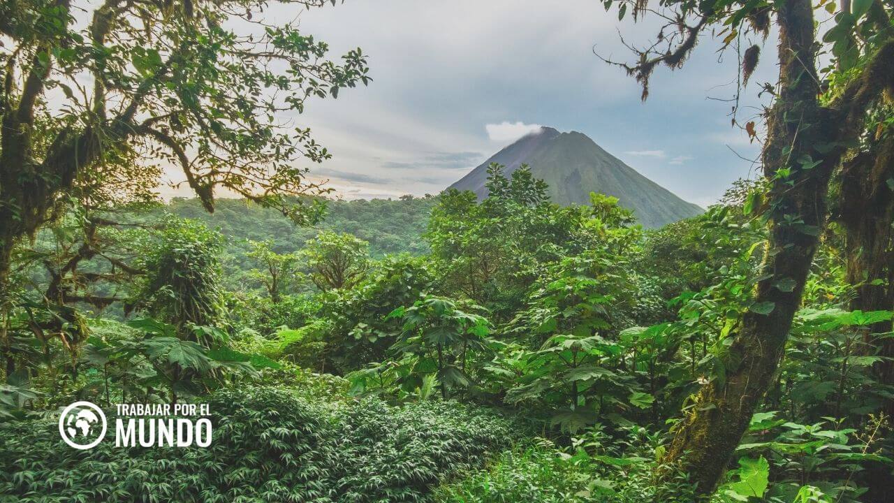 Empleo Amazon en Costa Rica