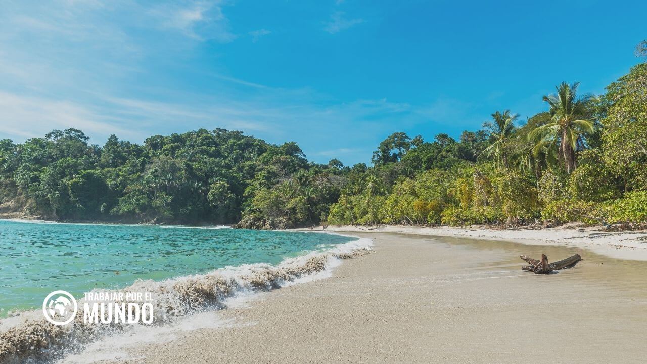 8 empresas que más contratan en Costa Rica