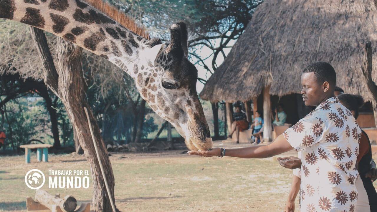 voluntariado en Kenia