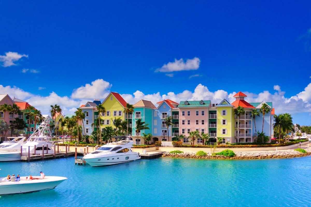 Profesor de Español para trabajar en Bahamas