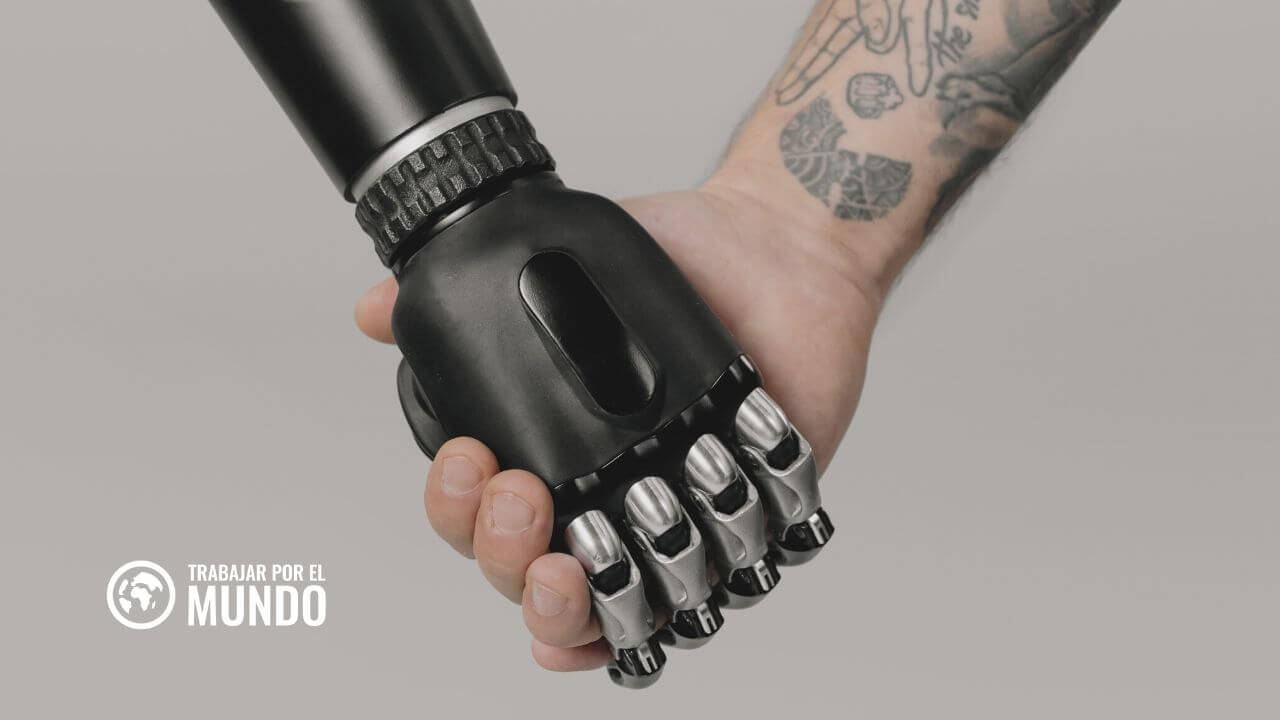 Cómo saber si un robot te va a quitar tu trabajo