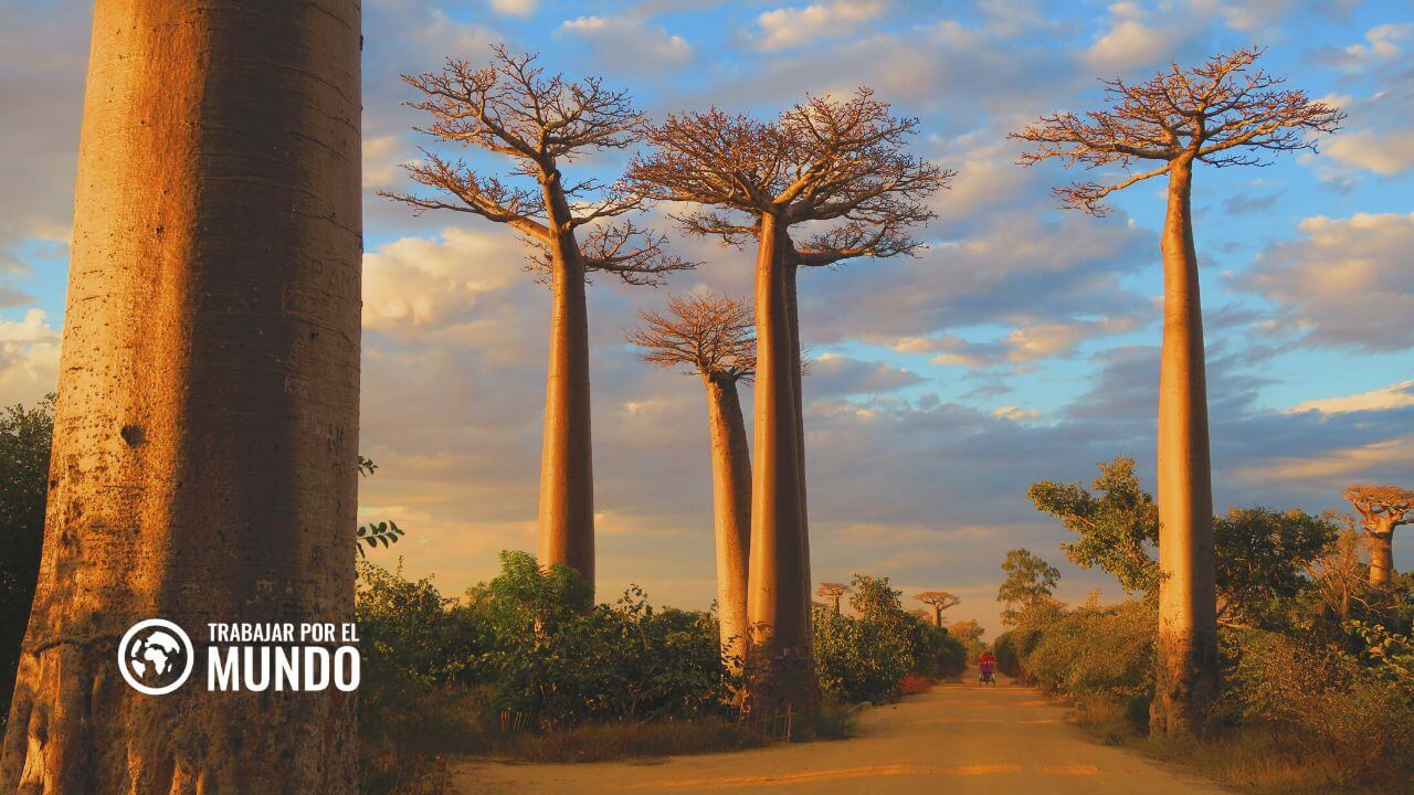 Guía vivir en Madagascar