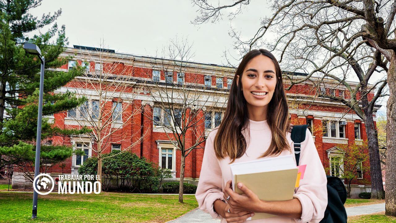 El manual que da Harvard a sus alumnos para hacer un currículum