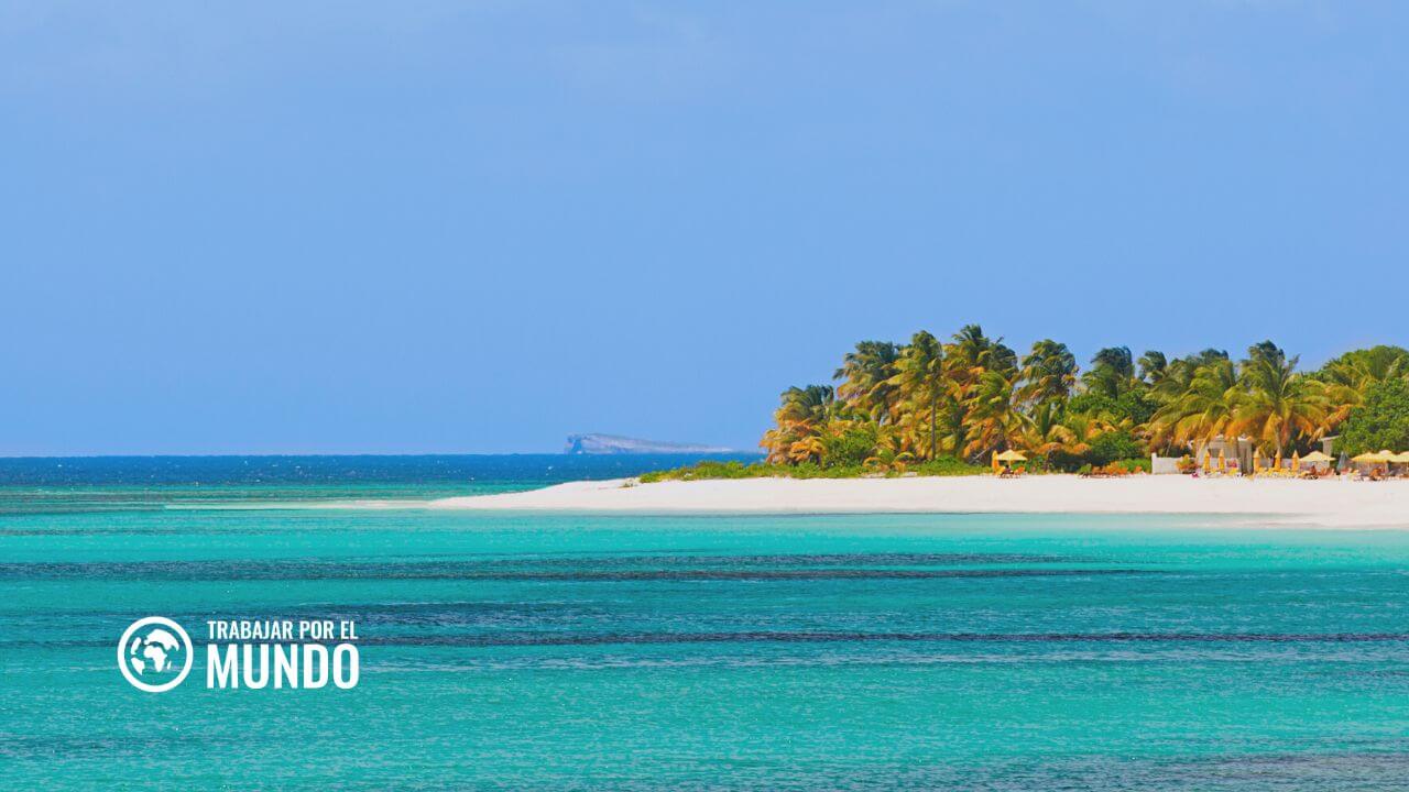El auge inesperado de la IA lleva riqueza a esta isla caribeña