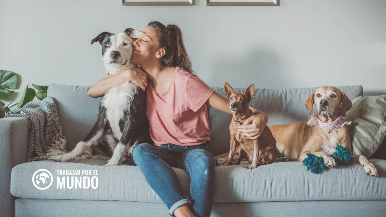 Cómo prepararse para una estancia de housesitting