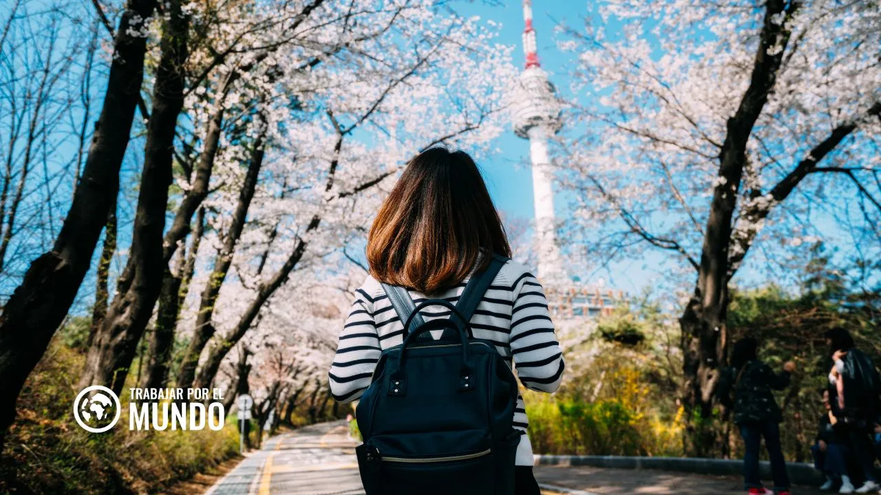visa nomada digital corea del sur