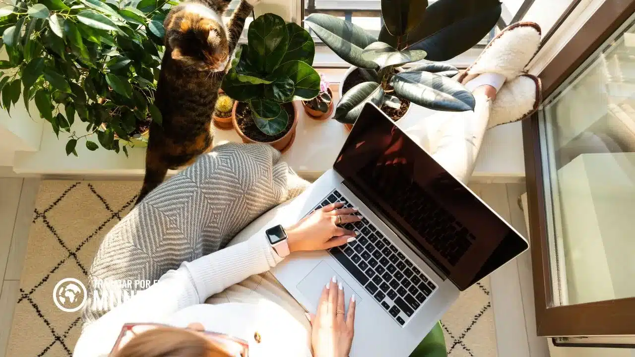 Remitly: Qué es y cómo puedes enviar dinero al extranjero
