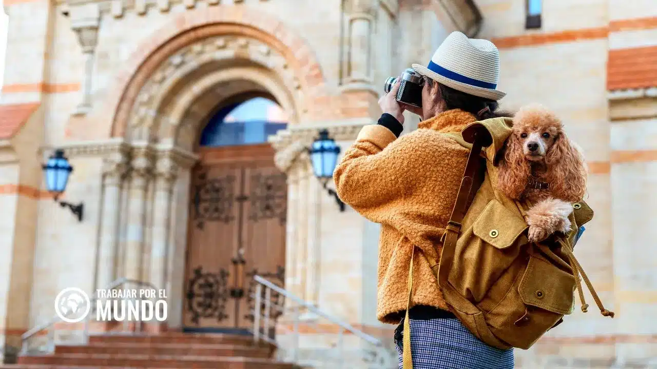 mejores camaras para bloggers de viajes