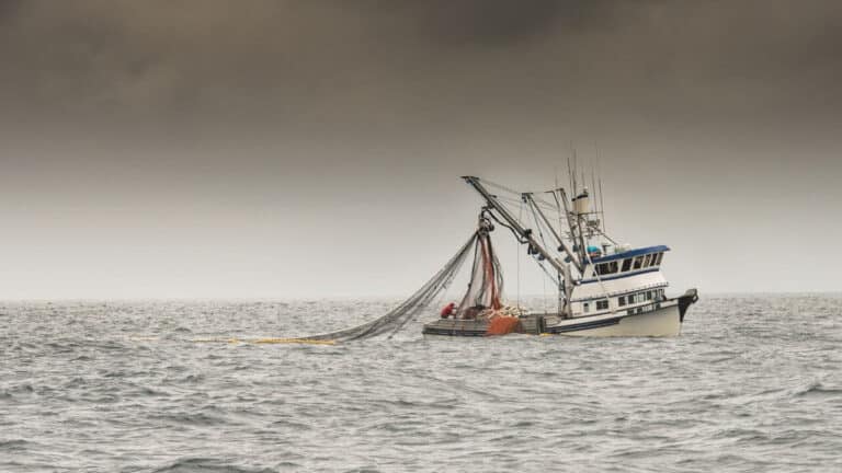 Cuánto se gana trabajando en la pesca en Alaska