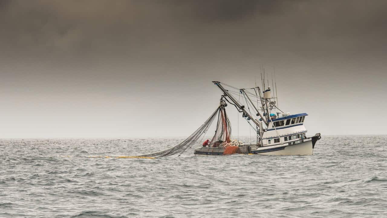 Cuánto se gana trabajando en la pesca en Alaska