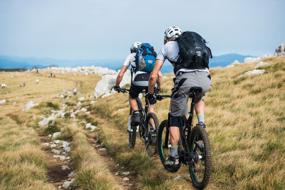 curso sepe guia bici