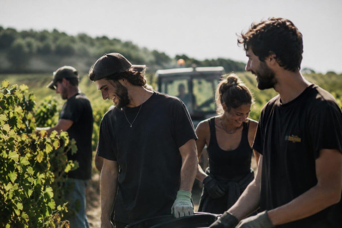 Trabajar en la vendimia francesa