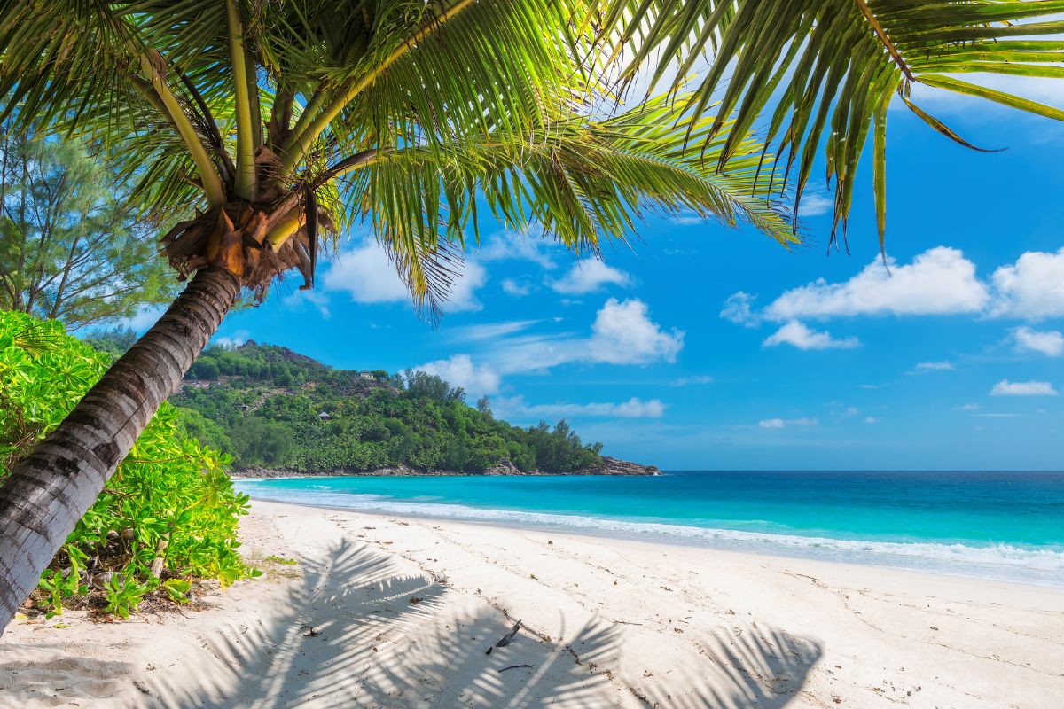 Seguro de viaje a Jamaica