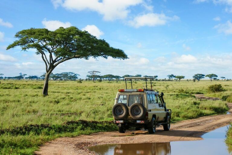 Seguro de viajes tanzania