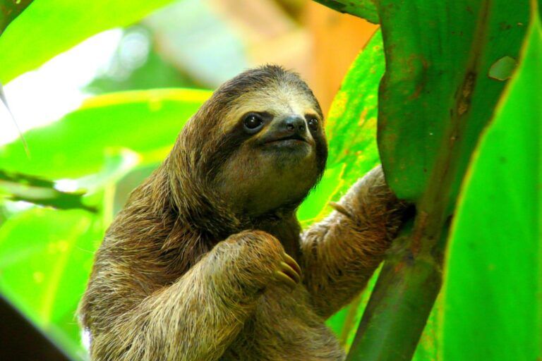 seguro de viajes para Costa Rica
