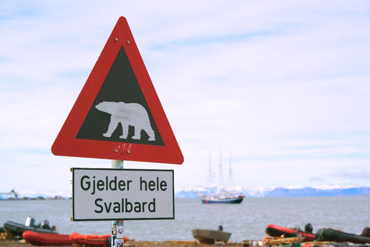 trabajar en Svalbard