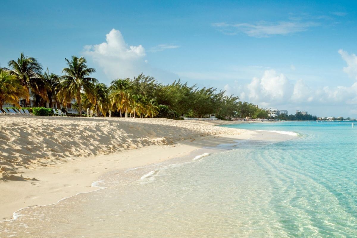 enseñar español en las islas caimán