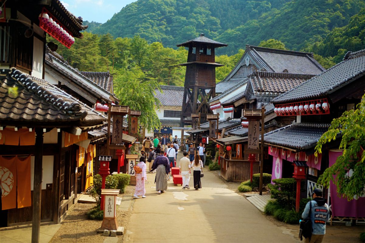 voluntariado en Japón