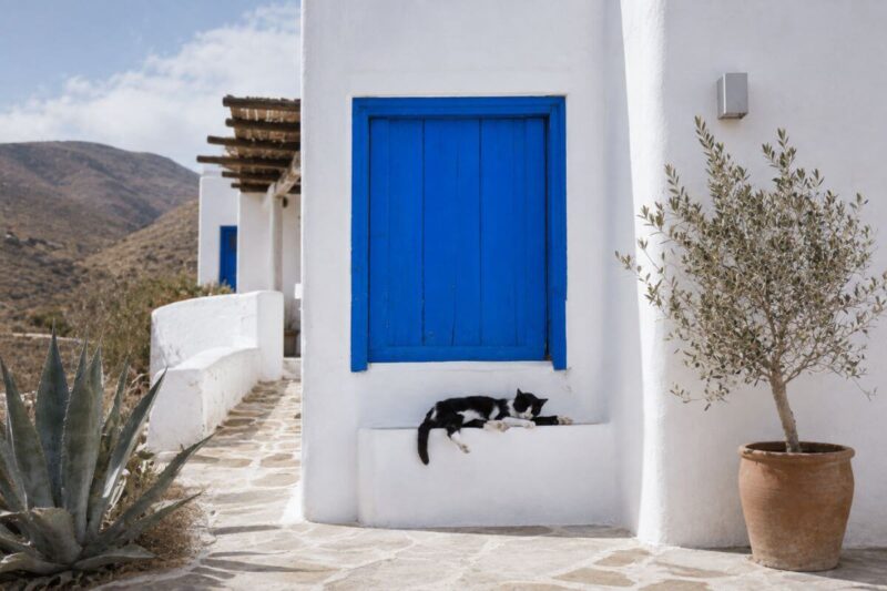 cuidar casas en almeria