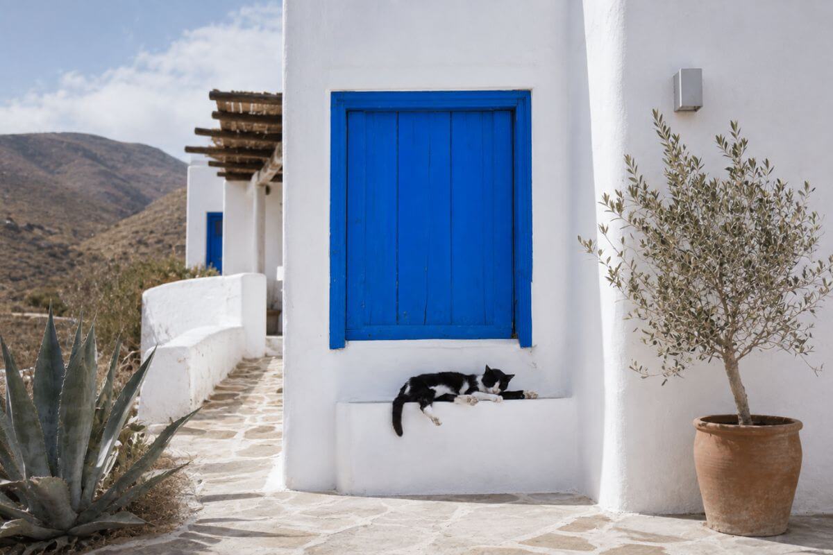 cuidar casas en almeria