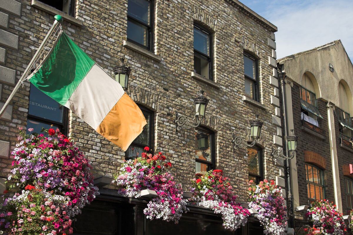 Central School of English Dublin